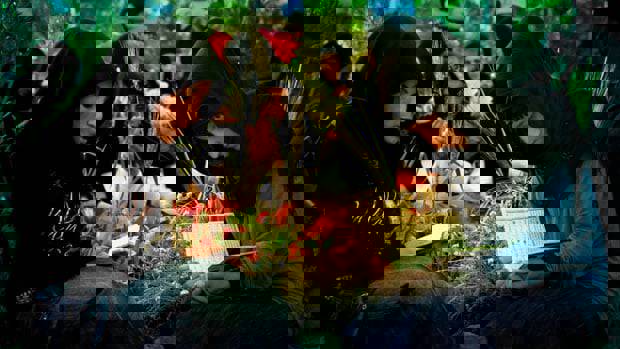 Ağlama Anne Güzel Yerdeyim, İlke TV’de