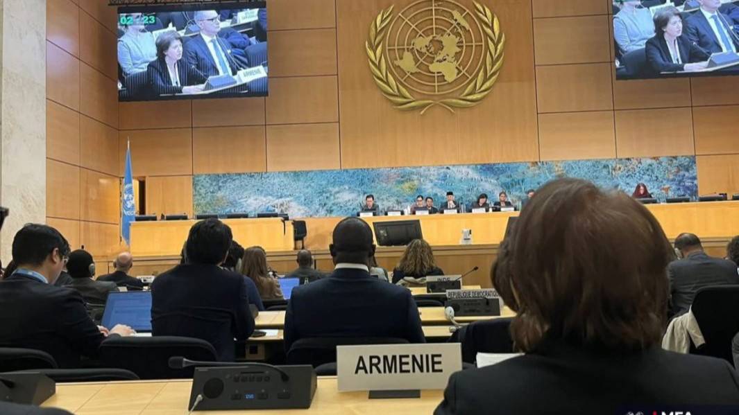 Ermenistan’ın “Soykırımın Önlenmesi” kararı, BM'de kabul edildi