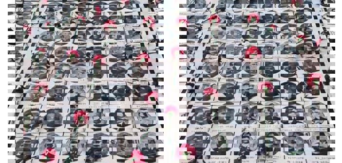 24 Nisan anması bu yıl da yasaklandı