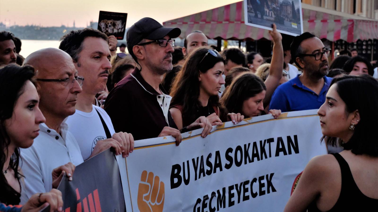 "Katiller gidecek, hayvanlar kalacak!"