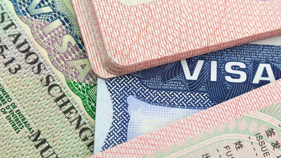 8 ilde vize şirketlerine operasyon: 60 gözaltı