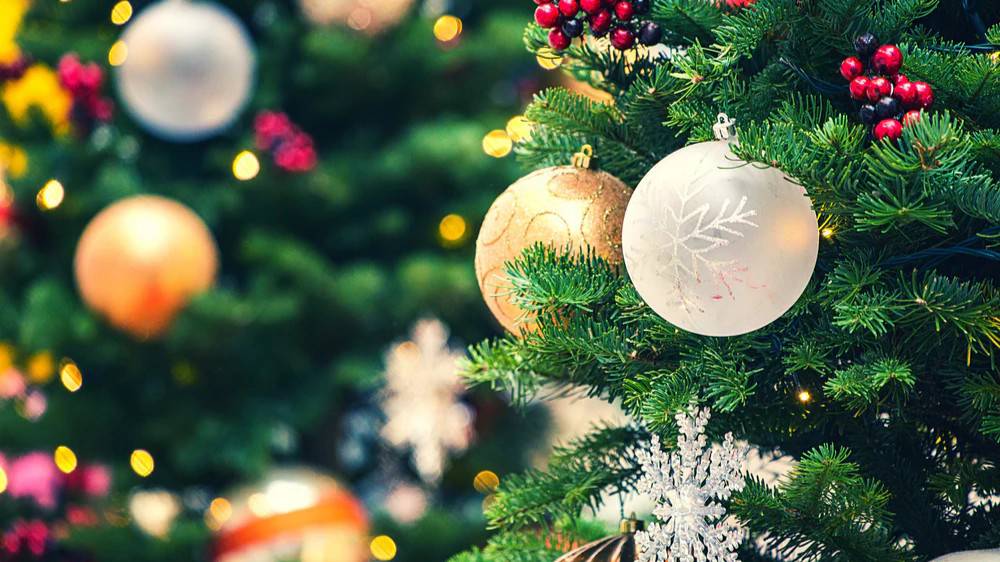 DEM'den “Noel tatili” için ikinci kanun teklifi