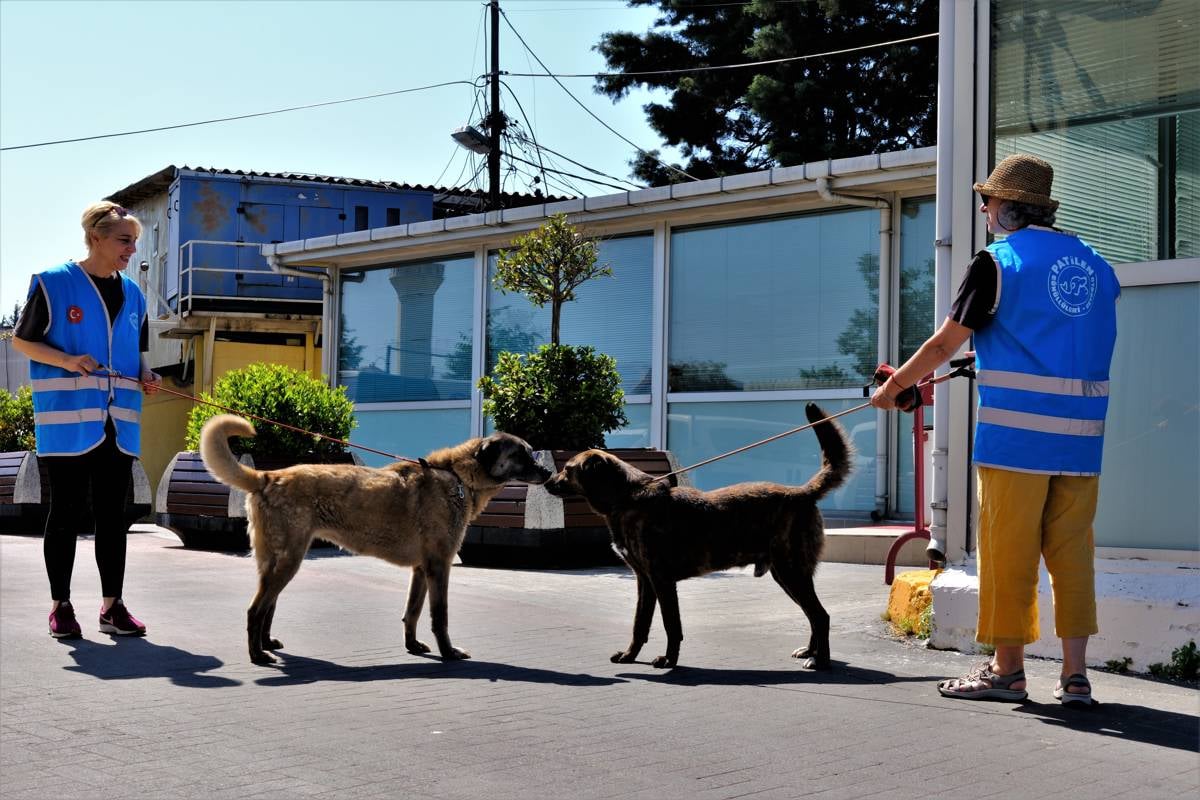 Fotoğraflar: Ahmet Caner Altay