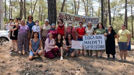 Davalar kesinleşmeden arazilere el konulamaz