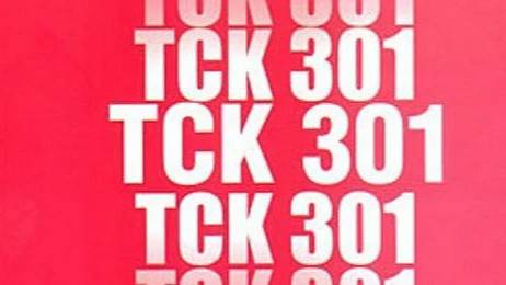 Üniversitelerarası Kurul'un ‘terör propagandası’ dediği tez, TCK 301 davasına dönüştü