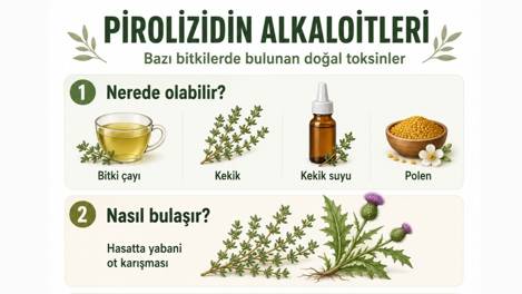 Kekik ve bitki çaylarında PA riski