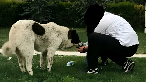 Matmazel'in üç adı