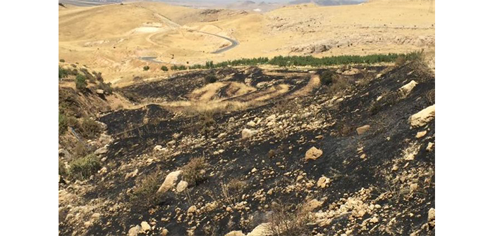 Խորհրդաւոր հրդեհներ ասորապատկան տարածքներու մէջ