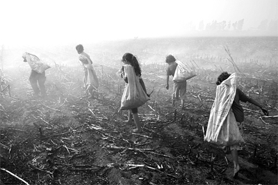 Son 5 yılda 36 binden fazla çocuk hayatını kaybetti