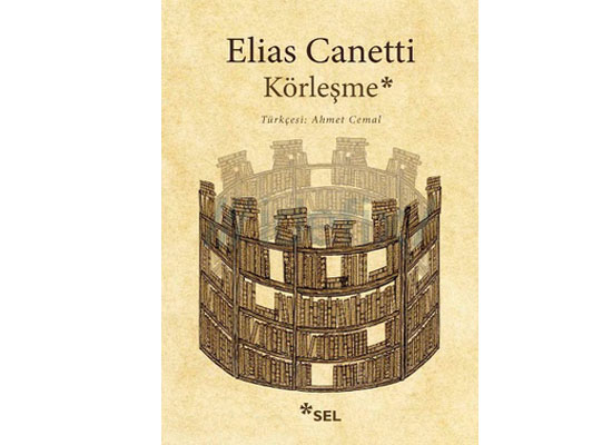 Deliliğin tarihi olarak roman
