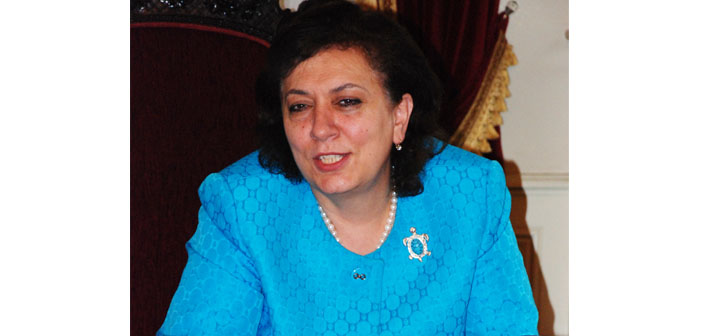 Diaspora Bakanı'ndan bin dolarlık ‘çözüm planı’