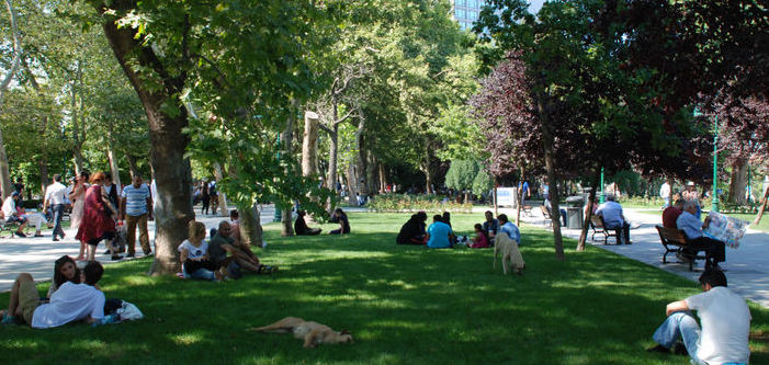 Taksim Dayanışması: Niyetinizin farkındayız, aklınızdan geçirmeyin