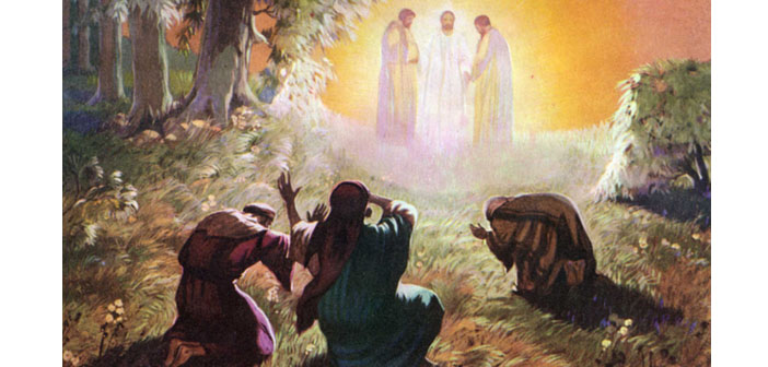 Vartavar Yortusu ve insanın ‘evrimi’