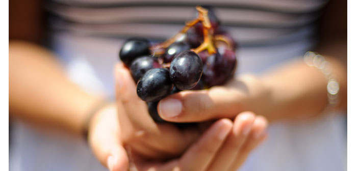 Asdvadzadzin ya da Verapokhum