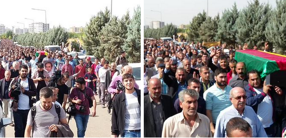 Fotoğraf: @YasarFuat21