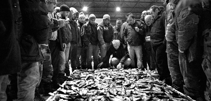 ‘Sürdürülebilir balıkçılık kağıt üzerinde kalmasın’