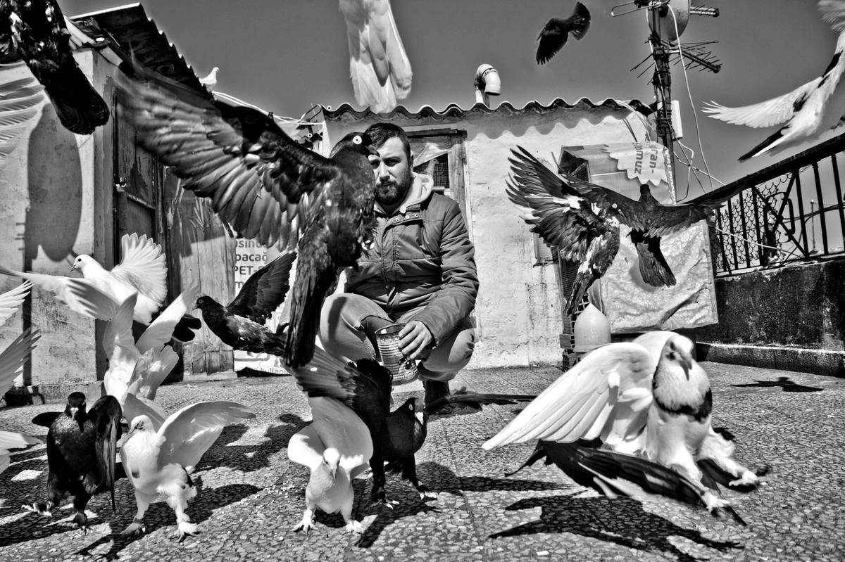 Edebiyle kuş besleyen kaldı mı?