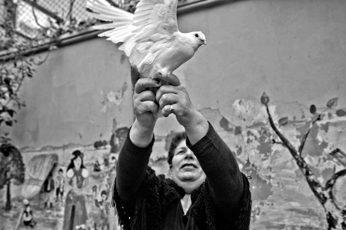 Öjen Hanım beyaz güvercinlerden hoşlanıyor, “İnsandan iyi vallahi, ben de kızıyordum baştan ama seviyorum şimdi” diyor. 