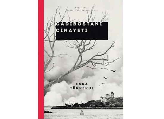 Her şeyiyle bizden bir dedektif