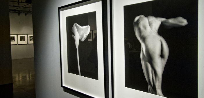 Mapplethorpe’un benzer ile tezatlarına yolculuk