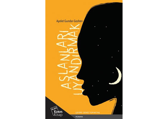 Aslanlar uyandığında