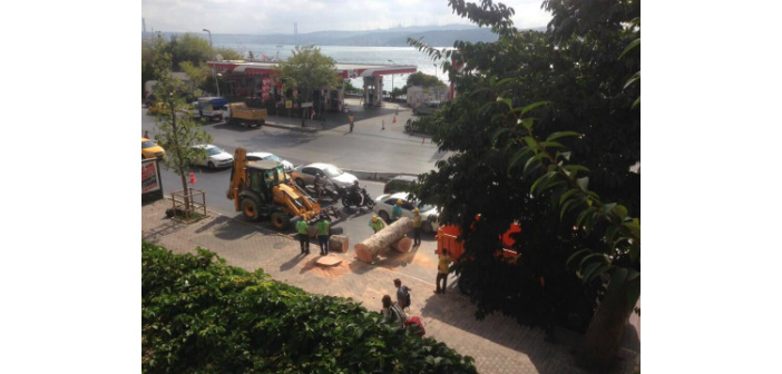 Kabataş’ta ağaç kesimi başladı