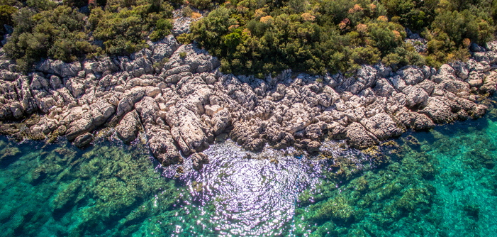 WWF Türkiye: Kaş böyle güzel