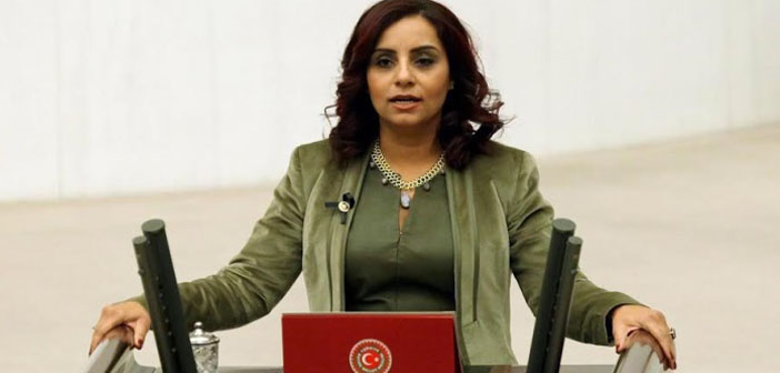 Selina Doğan: Bu teklif yasalaşırsa AB süreci resmen biter
