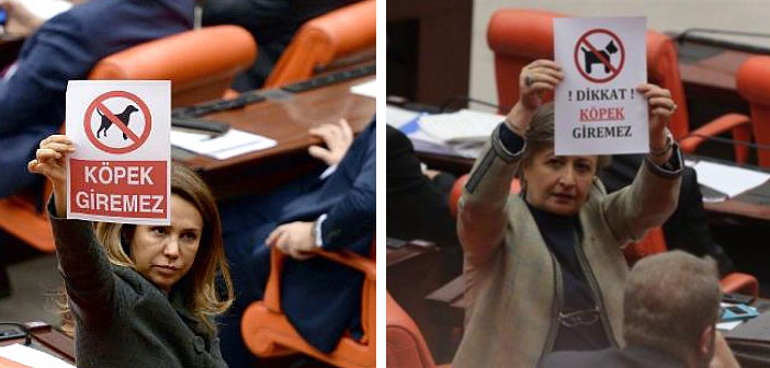 Hayvan hakları örgütlerinden vekillere tepki: Özür dileyin