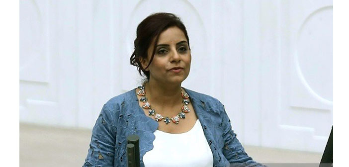 Doğan: İç tüzük değişikliği azınlıkların da meclisteki sesini kısma teşebbüsü