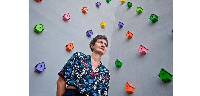 Şehrin ortasında rengârenk 120 kuş evi