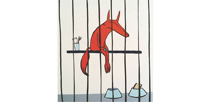 Sıra dışı bir tilki