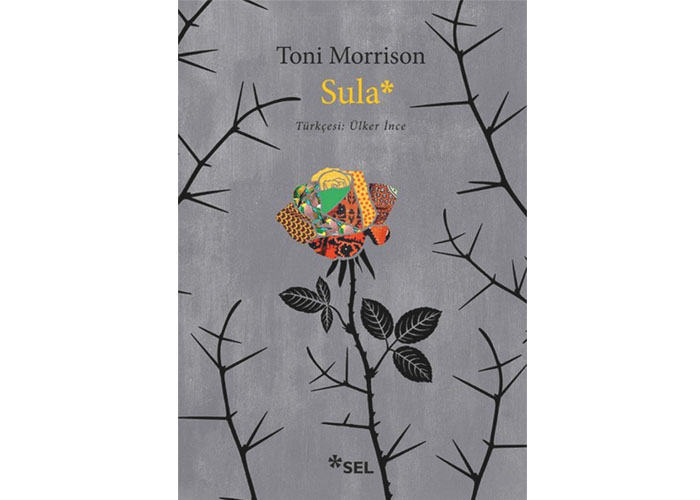 Politik bir mesele olarak arkadaşlık