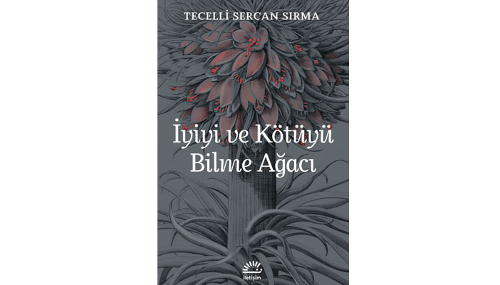 Bir zamanlar Irak’ta