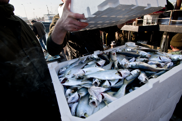 ‘Değişiklik olumlu olsa da mücadeleye hâlâ ihtiyaç var’