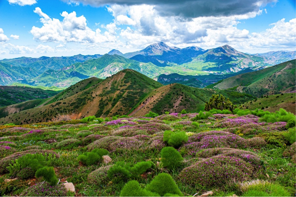 Baharda Sılbûs (Surp Luys) FOTO- Haydar Yarkın