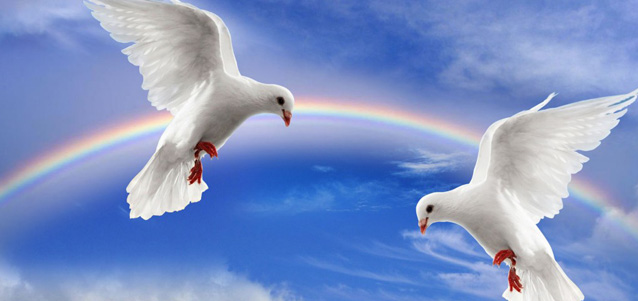 Սկուհի Տուտու Գումգափուի Մէջ