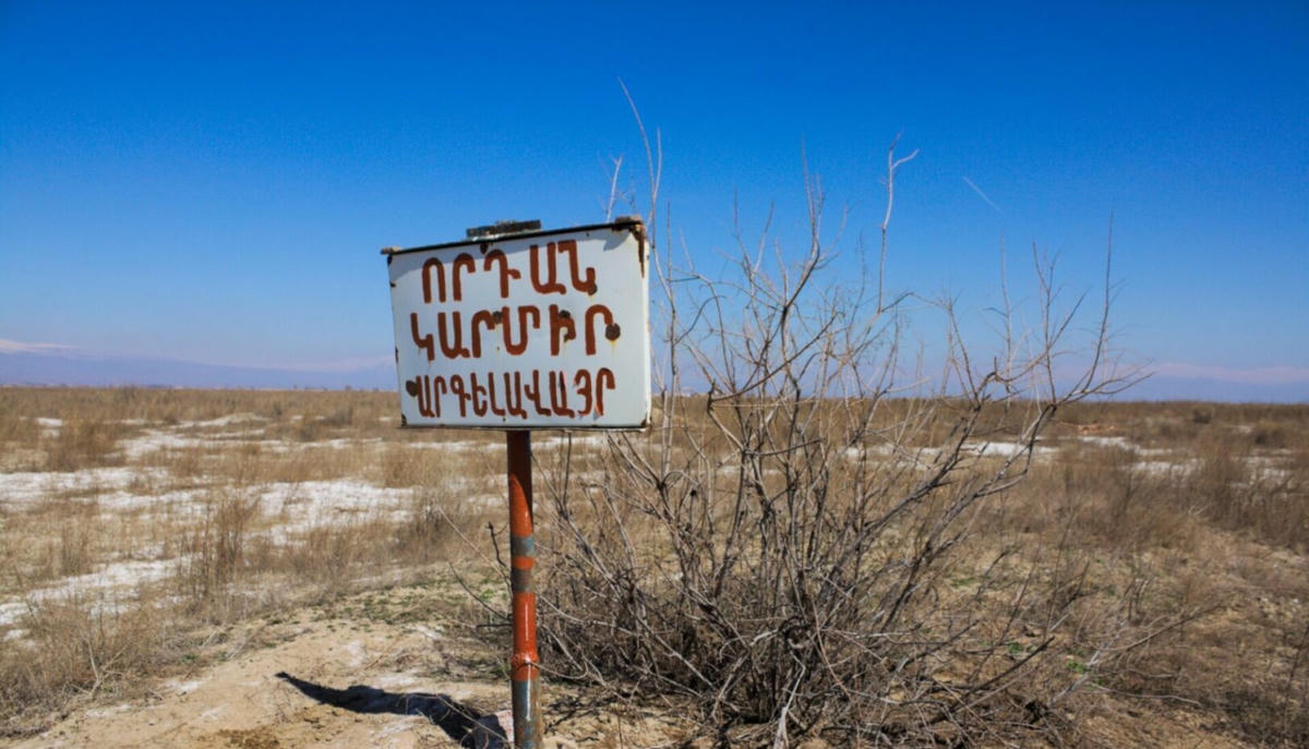 Արարատի դաշտի որդան կարմիրը