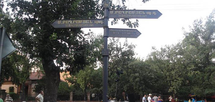 Հայի տեսակներ