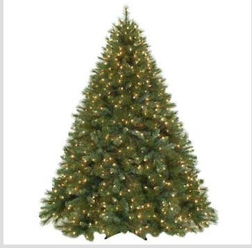 Ճանչնանք մեր բառերը (4)