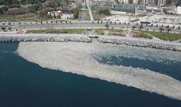 Marmara ‘tehlike çanları çalıyor’ noktasını çoktan geçti