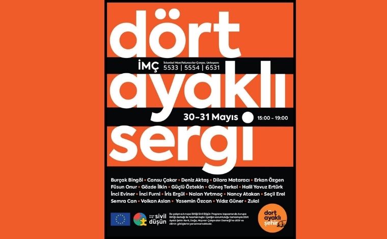 Dört Ayaklı Şehir’den sokak hayvanları için dayanışma sergisi