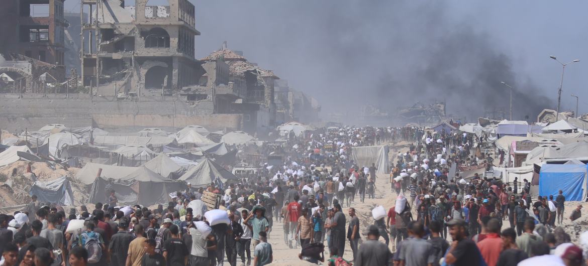 Gazze Soykırımı ve zeytin