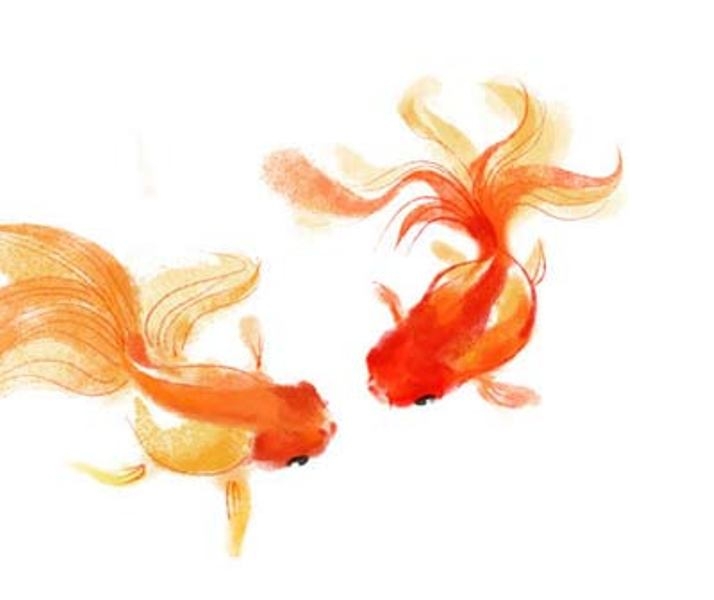 Փոխակերպուկ ձուկը