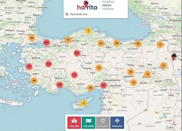 «Հաւրիթա» անհասանալի