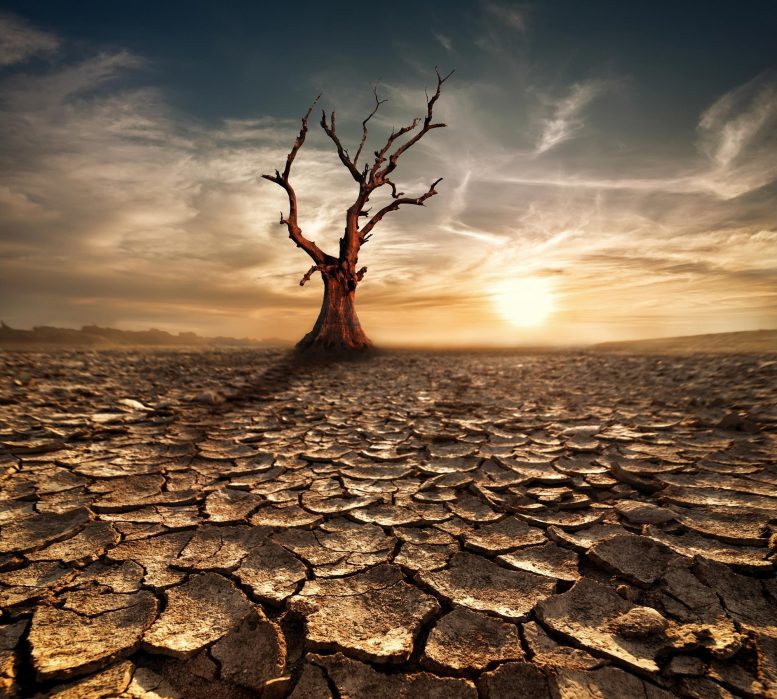 In the Middle East, we have no time for “Climate Change”