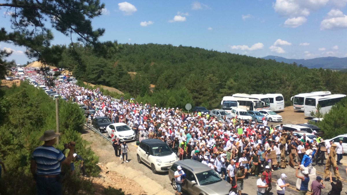Binlerce kişi Kaz Dağları için buluştu "Altın madenine hayır" dedi