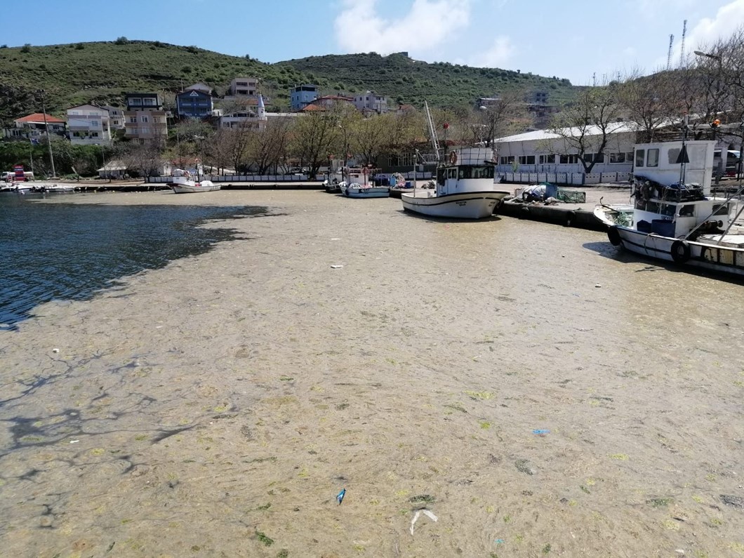 Marmara ‘tehlike çanları çalıyor’ noktasını çoktan geçti