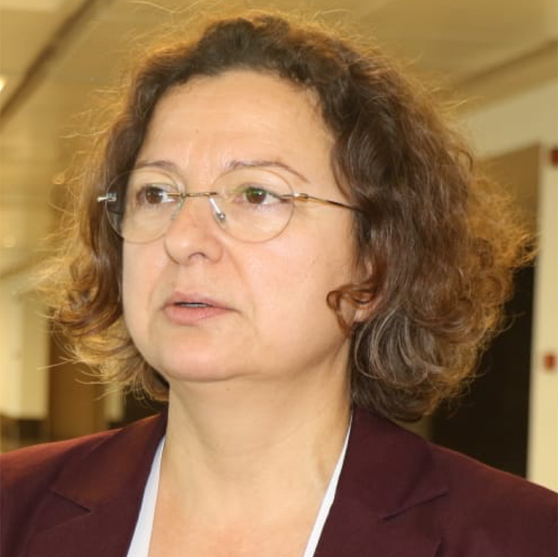 Prof. Dr. Nilay Etiler Lordoğlu