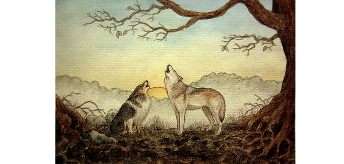 Գայլն ու Շունը